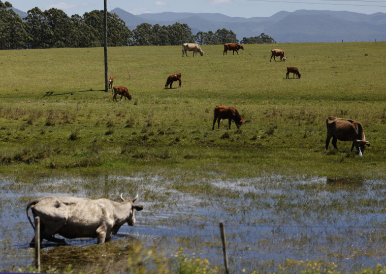 Reforço na fiscalização, o uso de videomonitoramento e a colaboração dos produtores têm sido fatores importantes para a redução
