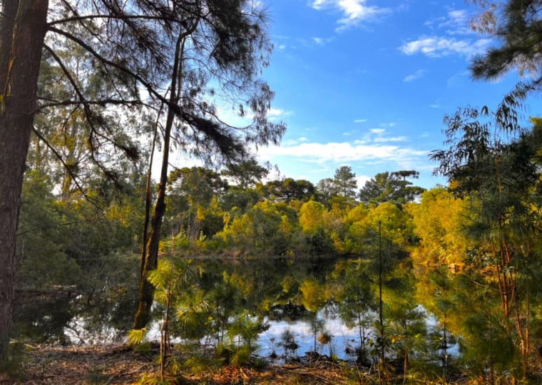 A área tem remanescentes de vegetação da Mata Atlântica em estágios avançados e lagos que alimentam diversos cursos hídricos em Gramado