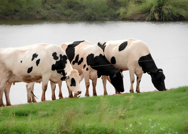 Fetag defende que uso da água para produção de alimentos não deve ser cobrado