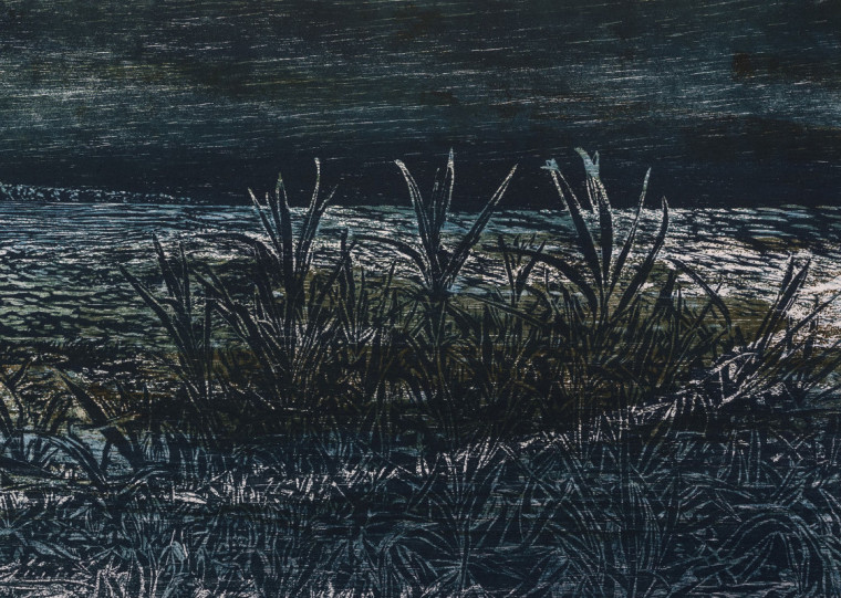 A série das beiras de lagoas, rios e mar é composta a partir de imagens fotográficas captadas durante viagens por áreas de preservação ambiental