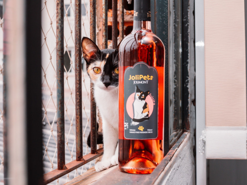 Os gatos Stout, Lusita, Amália e Jolie e os cães Chardonnay, Francesca e Safira foram homenageados e eternizados nas garrafas de vinho
 Foto: RAFAELA BINS/ JOLIMONT/ DIVULGAÇÃO JC