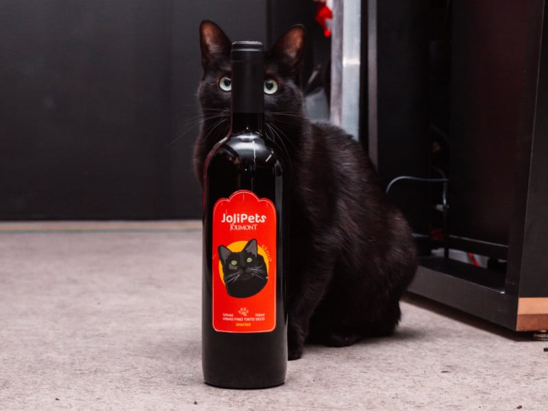 Marca decidiu relançar a linha e doar 20% das vendas para instituições que atuam no salvamento e no acolhimento de animais resgatados Foto: RAFAELA BINS/ JOLIMONT/ DIVULGAÇÃO JC