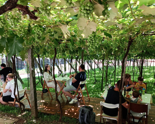 Vinícolas gaúchas apostam no retorno do enoturismo depois das chuvas