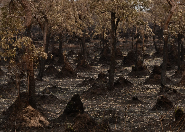 Área degradada entre 1986 e 2021 pode variar entre 800 mil e 2,1 milhões de hectares