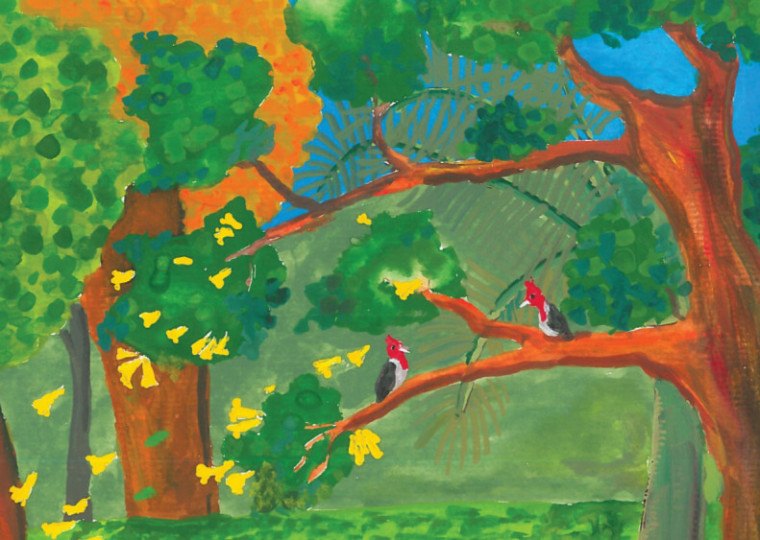 Livro infantil A Araucária e o Ipê amarelo tem lançamento neste sábado (20) no Instituto Ling