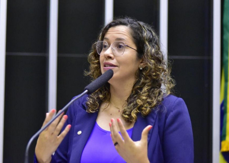 Denise Pêssoa é deputada federal pelo PT do RS 