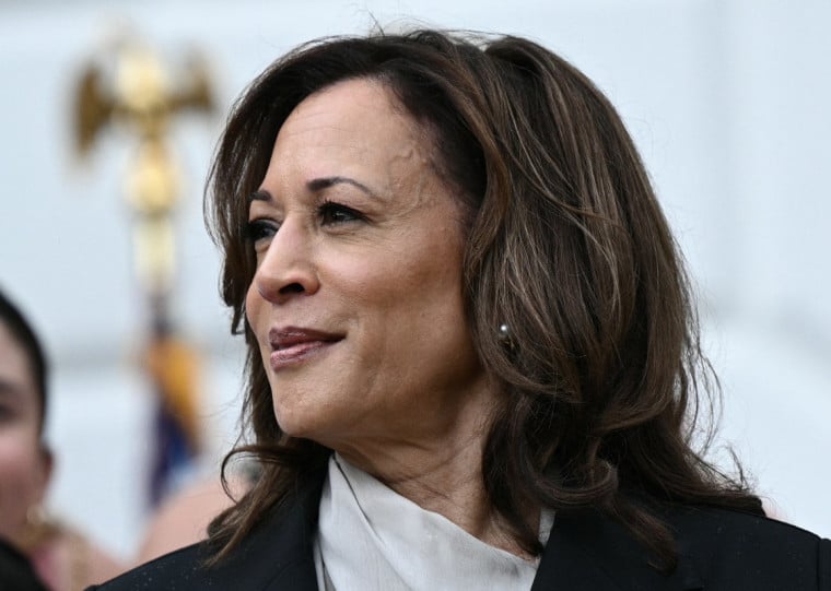 214 políticos democratas já apoiaram Harris publicamente