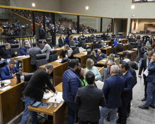 Porto Alegre é a única cidade notificada pelo MP que ainda não alterou número de vereadores