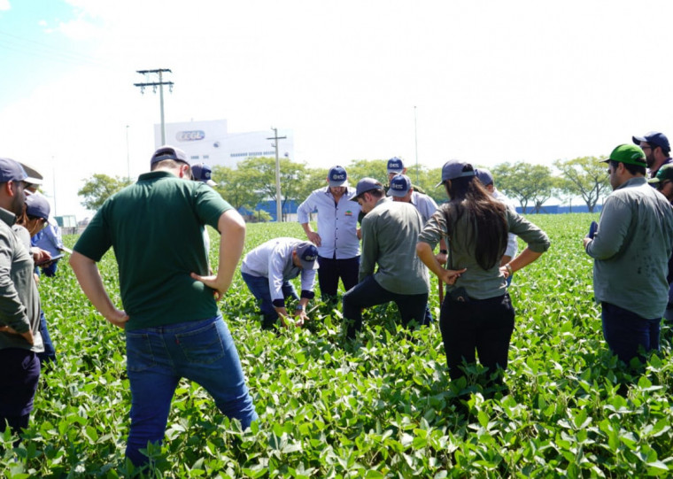 CCGL lidera, ao lado da Embrapa Trigo, a Operação 365, para manter solo das propriedades coberto os 365 dias do ano
