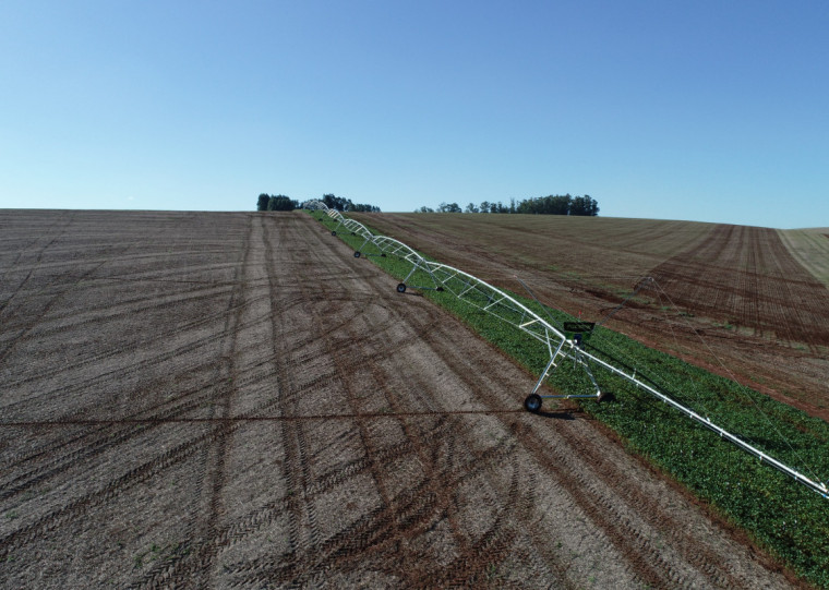 Sistema de irrigação da cooperativa Cotripal é exemplo de iniciativas para manter o bom rendimento do agro mesmo em condições climáticas adversas