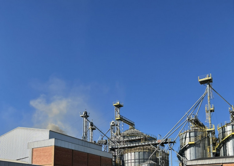 Dubai Alimentos, de Ijuí, é uma das indústrias que processa aveia na parte Norte do RS