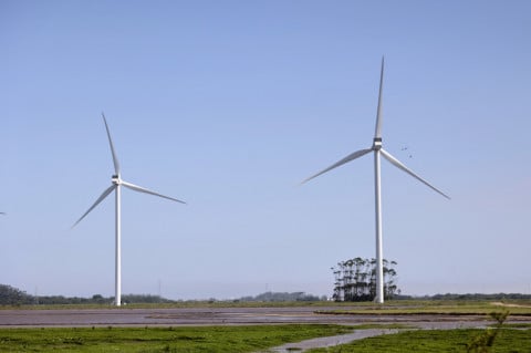 Transição energética no país é 'uma porcaria' porque é cara e socialmente injusta, diz Elena Landau