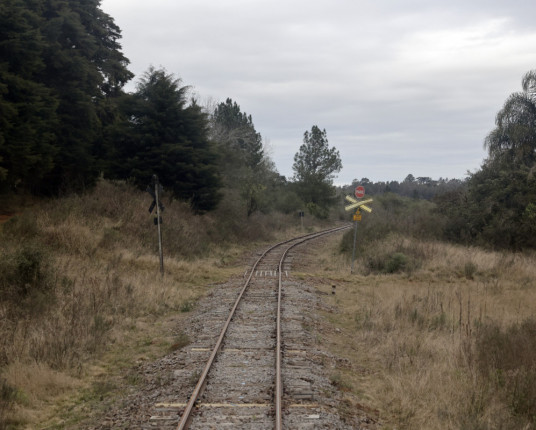 Grupo de Trabalho concluirá análise da malha ferroviária Sul em julho