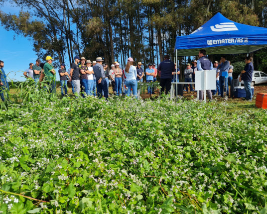 Solo coberto o ano todo ameniza danos climáticos e melhora resultados