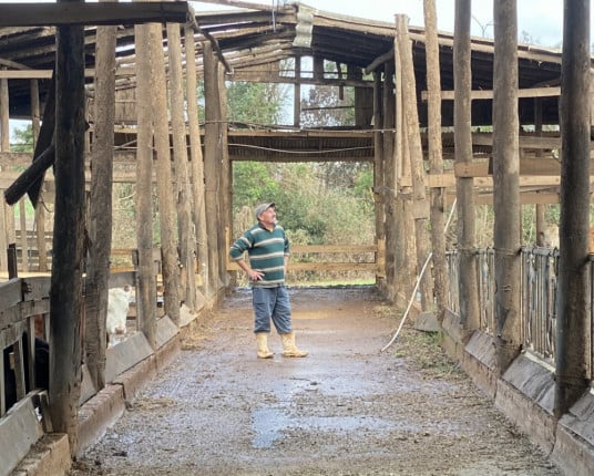 Enchentes agravam situação do produtor de leite