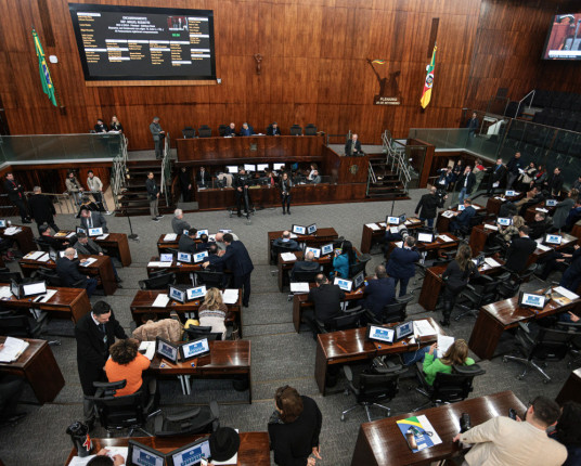 Assembleia criará comissão para investigar atuação de CEEE e RGE no temporal de janeiro