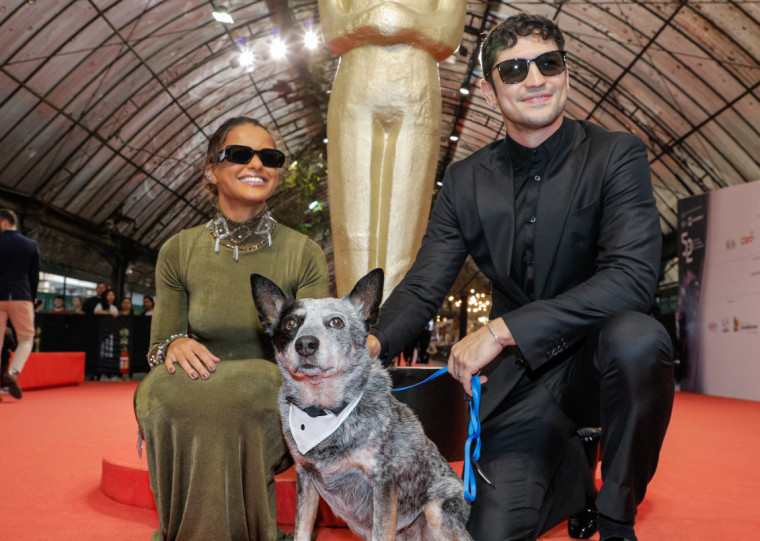 Ao lado dos protagonistas Thainá Duarte e Gabriel Leone, o pet Texas Zuccolo arrasou no Tapete Vermelho