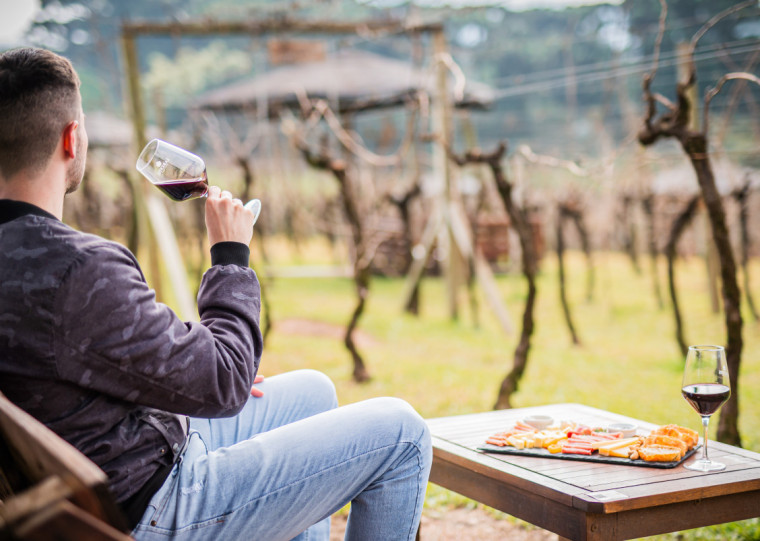 Produção de vinho é uma das atividades que passa por transformações; enoturismo é outro eixo de desenvolvimento