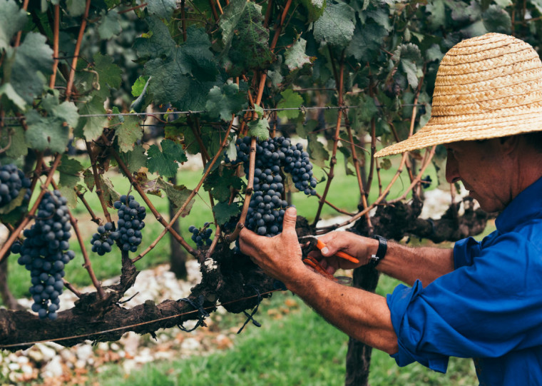 Inventário inédito para calcular impactos das emissões do setor foi publicado