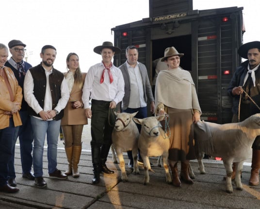 Animais de elite começam a chegar ao parque de Esteio para a Expointer