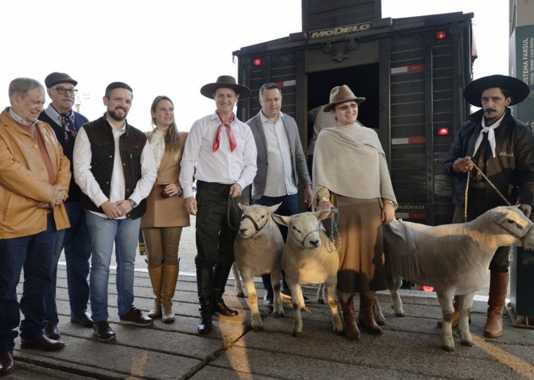 Animais começaram a desembarcar pouco depois das 8h para a mostra que começa neste sábado