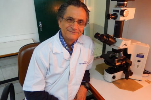 Pesquisa combate patologias na suinocultura