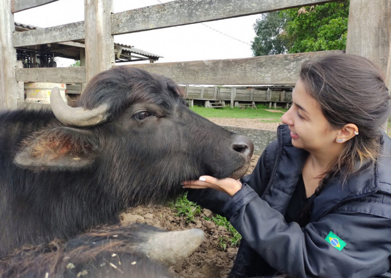 Foi na pesquisa e manejo de bubalinos que a doutoranda construiu sua trajetória