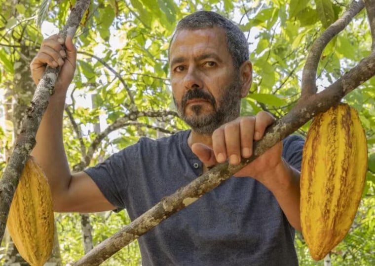 Horário de jogo entre Brasil x Equador, em Curitiba, poderia impedir exibição de último capítulo de remake de 'Renascer'