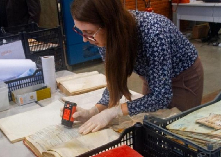 Laurent Keller/DIVULGAÇÃO/CIDADES