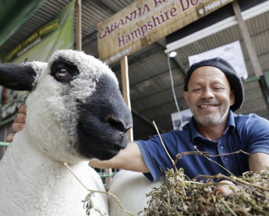 Expointer ganha forma com preparativos de última hora em Esteio