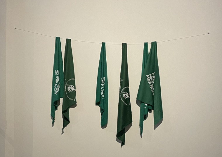 Ação vinculada ao Projeto Verter vai produzir lenços verdes serigrafados com o público neste sábado (24)