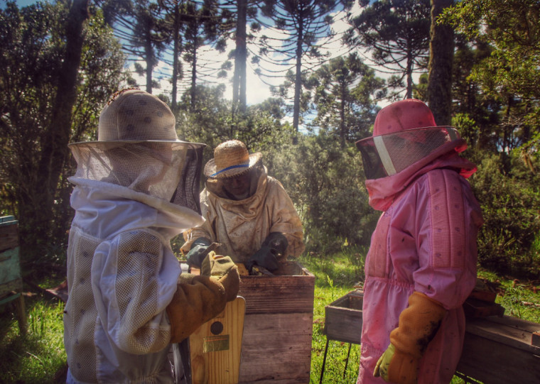 Passeio do Mel permite ao visitante conhecer um pouco da história da apicultura e da identificação de espécies melíferas
