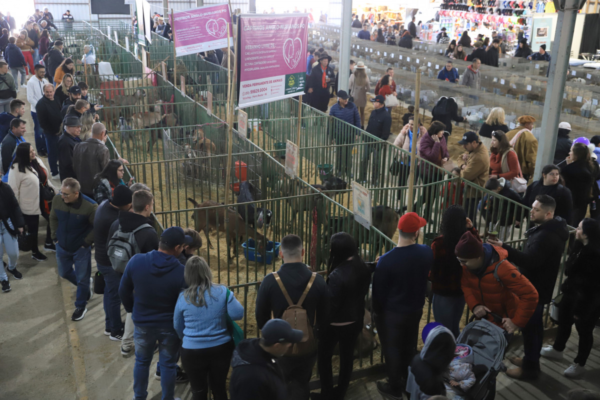 Pavilhão de Pequenos Animais atraiu olhares de crianças | ALINA SOUZA/JC