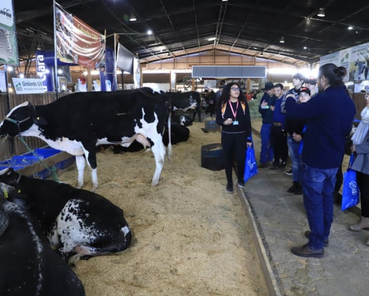 Visitas de escolas e prêmio do JC marcam o 3º dia da Expointer
