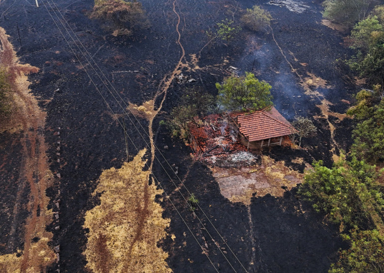 Incêndios devastaram a vegetação na cidade de Ribeirão Preto 