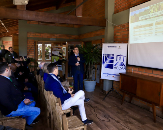 Safra de verão pode crescer 16,9% e ir a 35 milhões de toneladas no RS