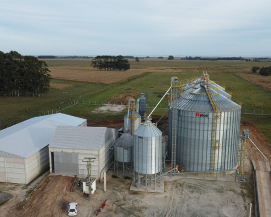 Baixa oferta de crédito limita investimentos em estocagem de grãos