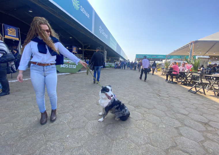 Secretaria da Agricultura permite entrada de cães na Expointer