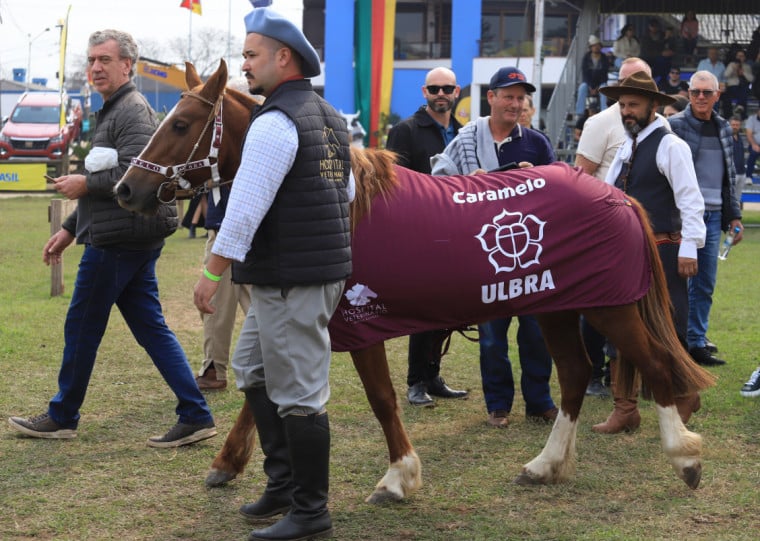 A arte do cavalo deve ter em torno de quatro metros