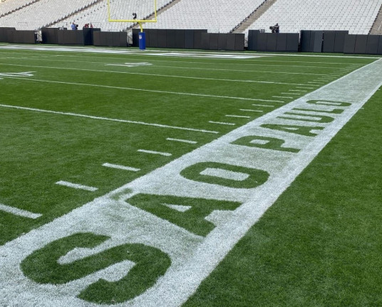 Técnico dos Eagles afasta polêmicas e compara Brasil com o Super Bowl