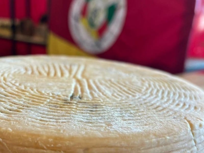 A Feira das Queijarias Ga&uacute;chas ser&aacute; realizada na Casa de Cultura M&aacute;rio Quintana, em Porto Alegre Foto: AGL/INSTAGRAM/REPRODU&Ccedil;&Atilde;O/JC