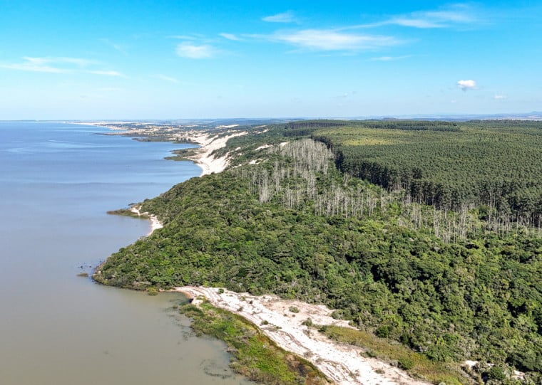 CMPC implementará parque ecológico florestal para visitação da população na Fazenda Barba Negra