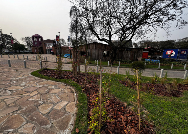 Mais de 100 árvores já foram plantadas, com espécies nativas, em áreas do Parque Harmonia