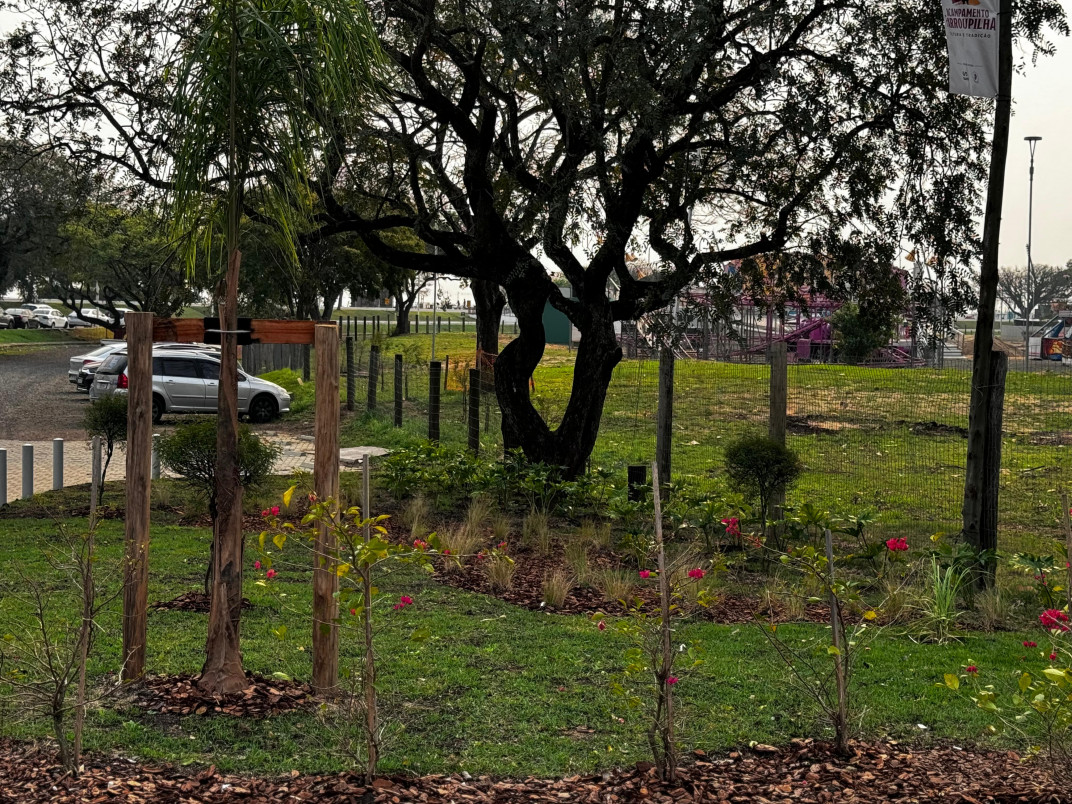 Plantio combina &aacute;rvores de dois metros de altura e esp&eacute;cie ornamentais em pontos do parque  | PATR&Iacute;CIA COMUNELLO/ESPECIAL/JC
