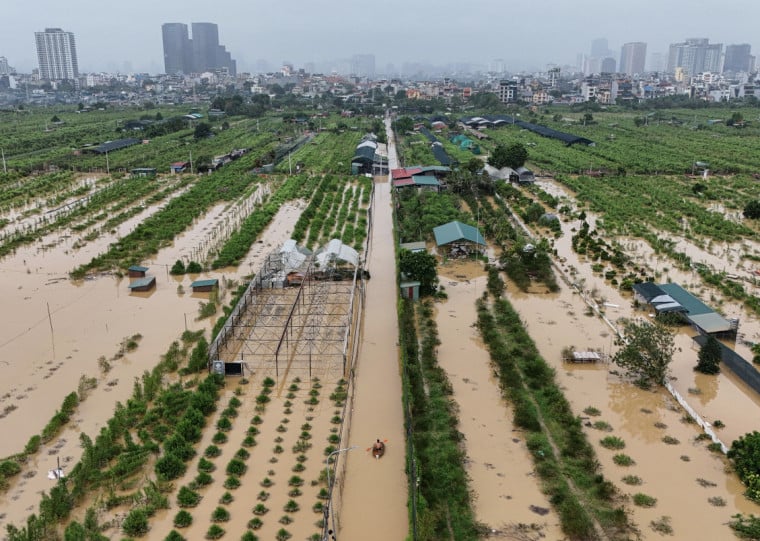 Ministério da Agricultura vietnamita apontou que os danos às áreas de cultivo também foram amplos