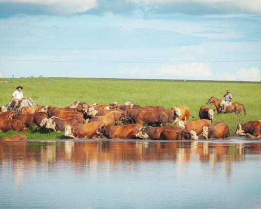Rio Grande do Sul abre espaço na COP30 com agro sustentável e inovação