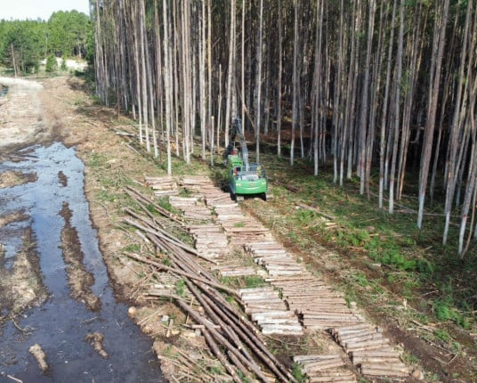 Litoral Sul garante estoque de resinas