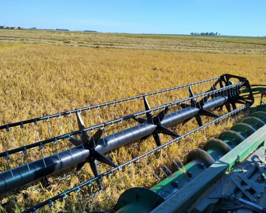 Situação do agro gaúcho é 'muito preocupante', diz secretário do Mapa