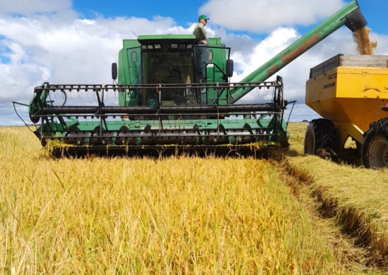 A intenção é chegar a até 400 mil sacos exportados no próximo ano