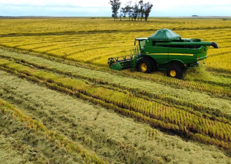 De acordo com as entidades, os dados apresentados sobre o cultivo de arroz contrapõem as informações de relatório do Irga